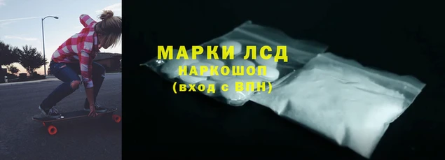 мяу мяу мука Алзамай