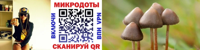 Галлюциногенные грибы мицелий  ссылка на мегу рабочий сайт  Югорск  где найти  