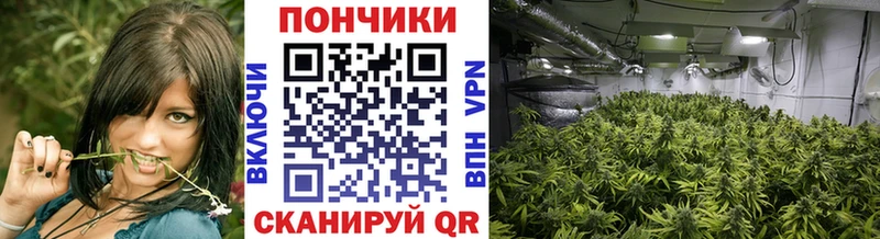 OMG зеркало  Югорск  МАРИХУАНА ГИДРОПОН 
